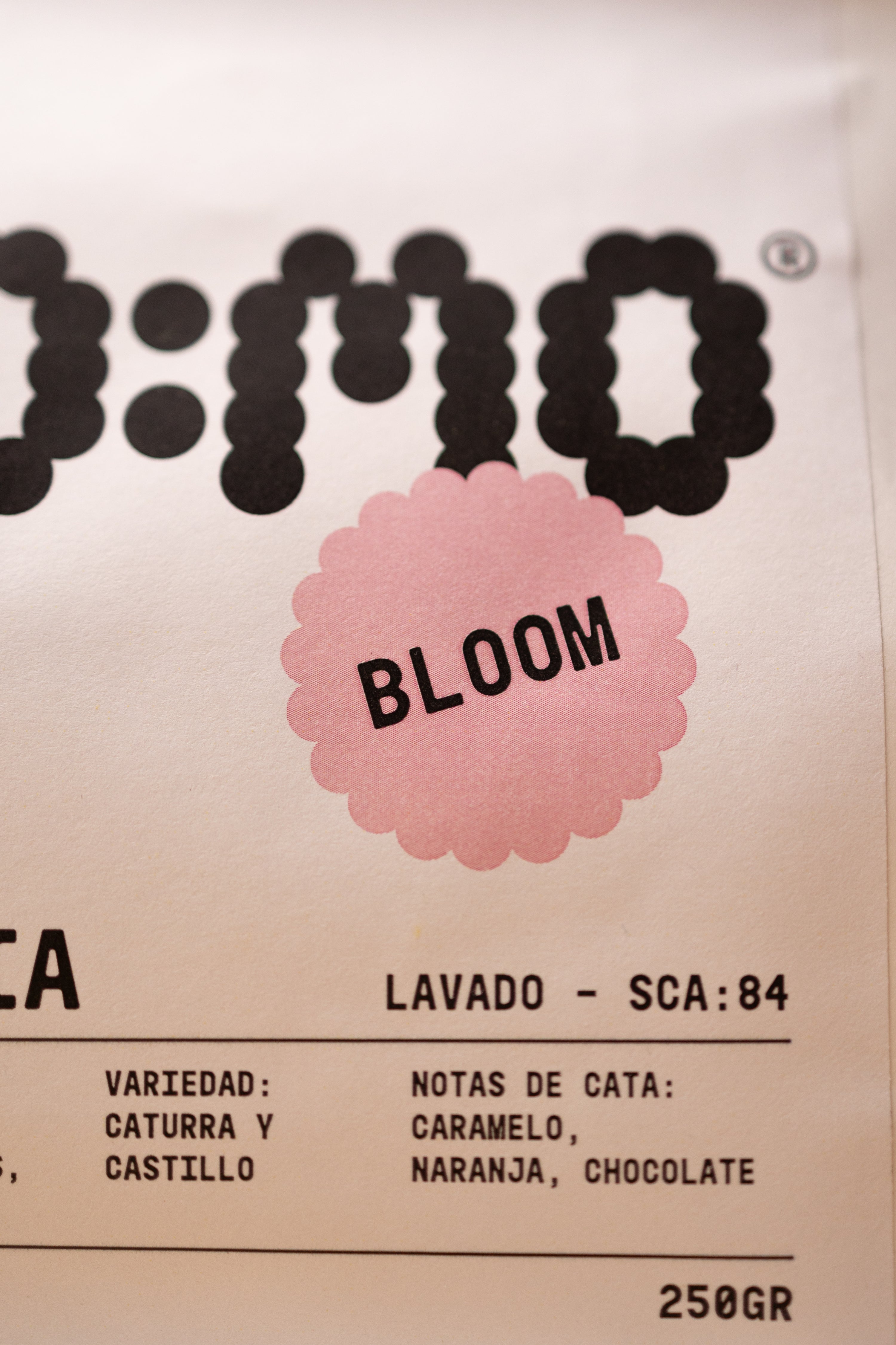 BLOOM (Colombia)